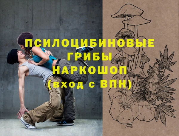 молекула духа Белокуриха