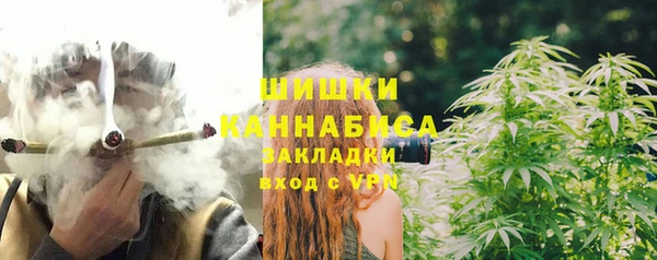молекула духа Белокуриха