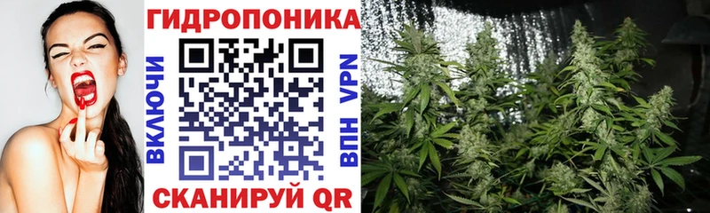 Бошки марихуана VHQ  где купить наркоту  Богучар 